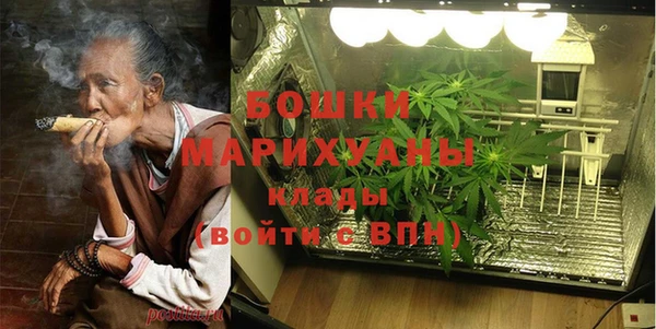 крисы Осинники