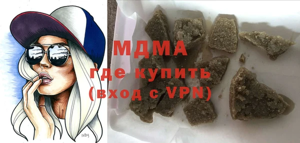 индика Дмитриев